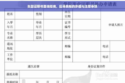 失踪证明书查询指南，探寻真相的步骤与注意事项