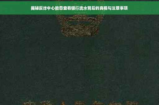 揭秘反诈中心能否查看银行流水背后的真相与注意事项