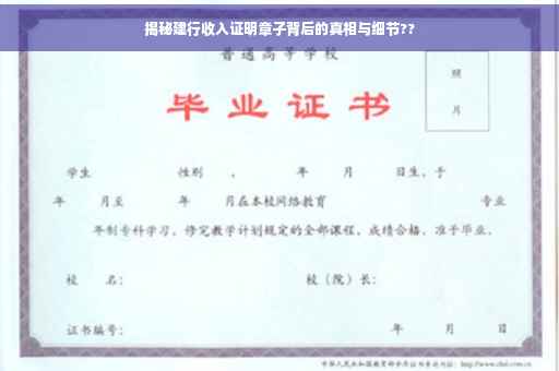 揭秘建行收入证明章子背后的真相与细节??