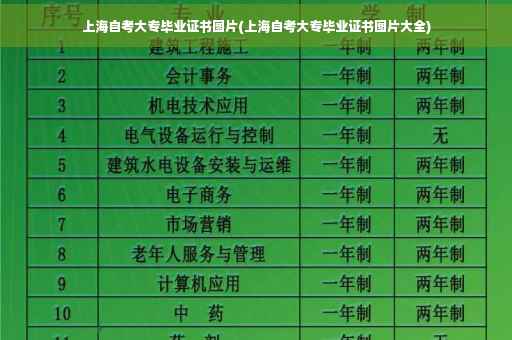 上海自考大专毕业证书图片(上海自考大专毕业证书图片大全)