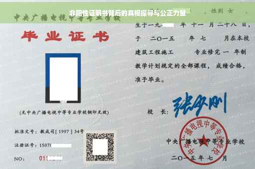 非阳性证明书背后的真相探寻与公正力量