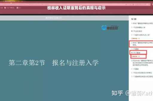 桂林收入证明案背后的真相与启示