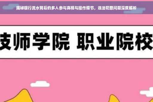 揭秘银行流水背后的多人参与真相与操作细节，违法犯罪问题深度解析