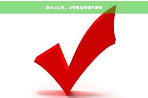 毕业证丢失，证书编号查询全攻略