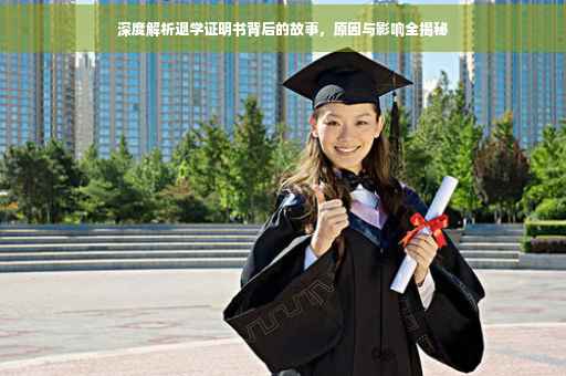 深度解析退学证明书背后的故事，原因与影响全揭秘