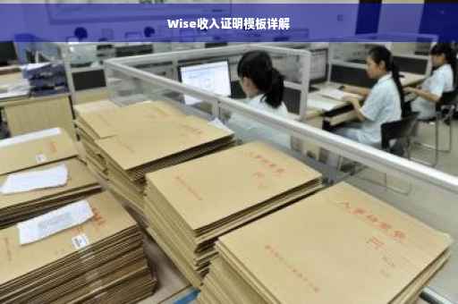 Wise收入证明模板详解