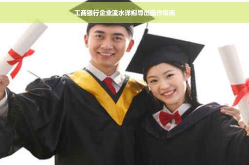 工商银行企业流水详细导出操作指南