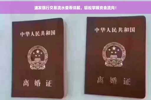 浦发银行交易流水查看详解，轻松掌握资金流向！
