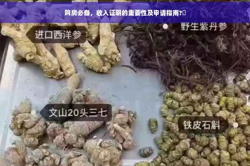 购房必备，收入证明的重要性及申请指南?✨