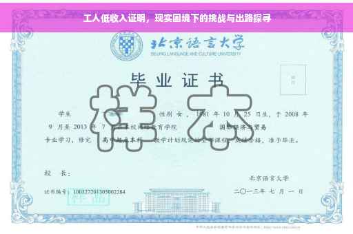 工人低收入证明，现实困境下的挑战与出路探寻