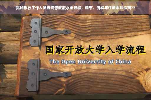 揭秘银行工作人员查询存款流水全过程，细节、流程与注意事项指南??