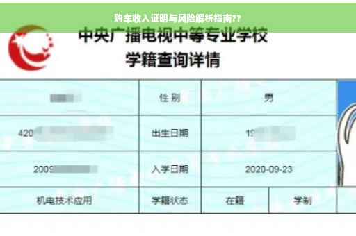 购车收入证明与风险解析指南??