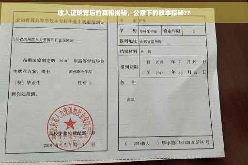 收入证明背后的真相揭秘，公章下的故事探秘??