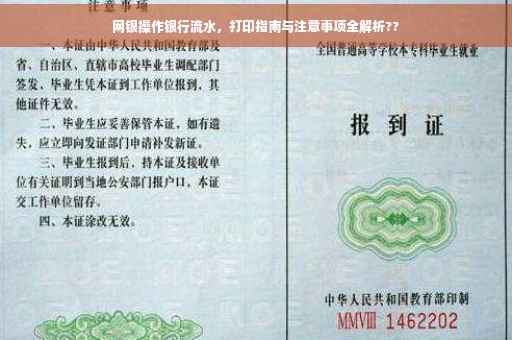 网银操作银行流水，打印指南与注意事项全解析??