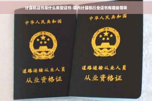 计算机证书是什么类型证书-国内计算机行业证书有哪些等级