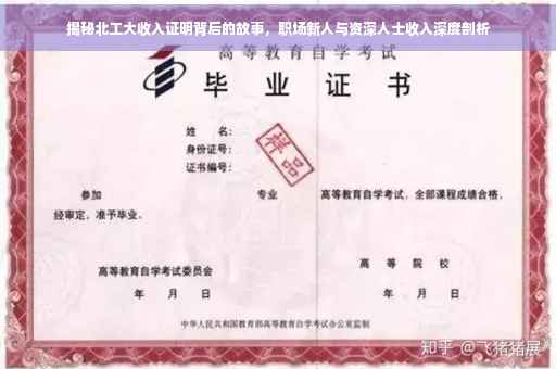 揭秘北工大收入证明背后的故事，职场新人与资深人士收入深度剖析