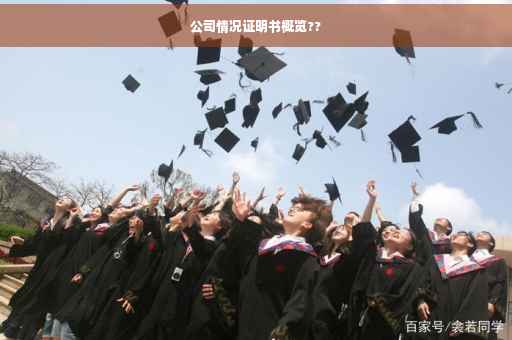 公司情况证明书概览??