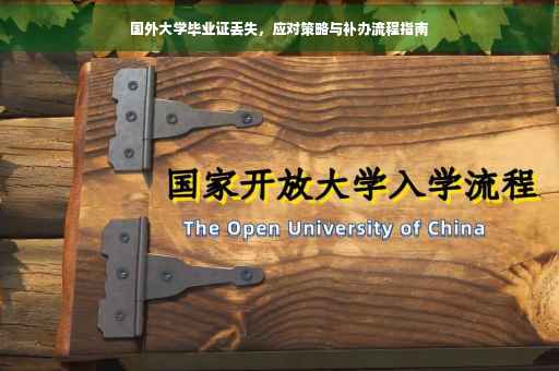 国外大学毕业证丢失，应对策略与补办流程指南