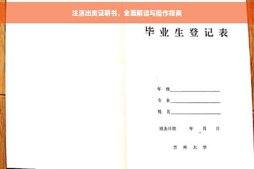 注消出资证明书，全面解读与操作指南