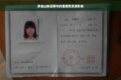 承包山林证明书的重要性及其影响