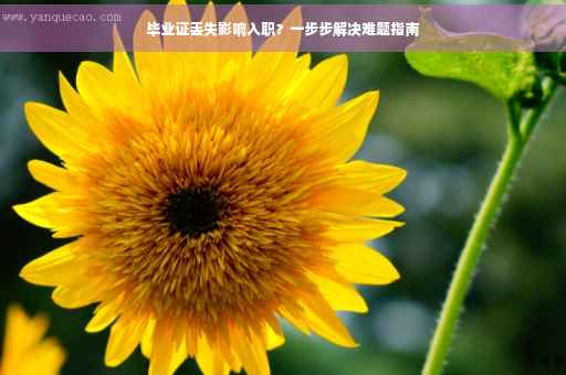 毕业证丢失影响入职？一步步解决难题指南
