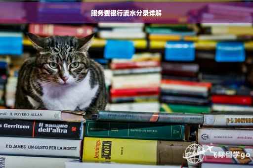 服务费银行流水分录详解