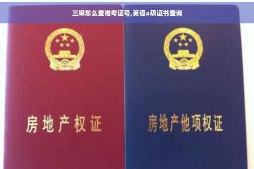 三级怎么查准考证号,英语a级证书查询