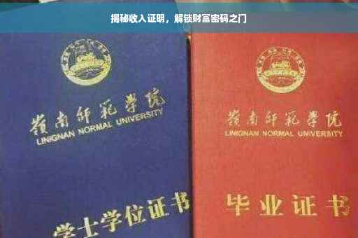 揭秘收入证明，解锁财富密码之门