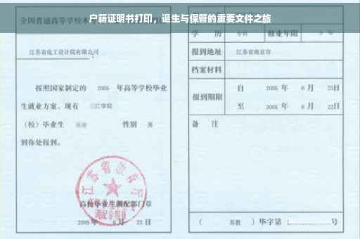 户籍证明书打印，诞生与保管的重要文件之旅