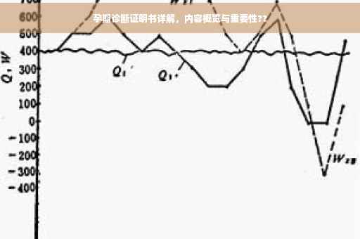孕期诊断证明书详解，内容概览与重要性??