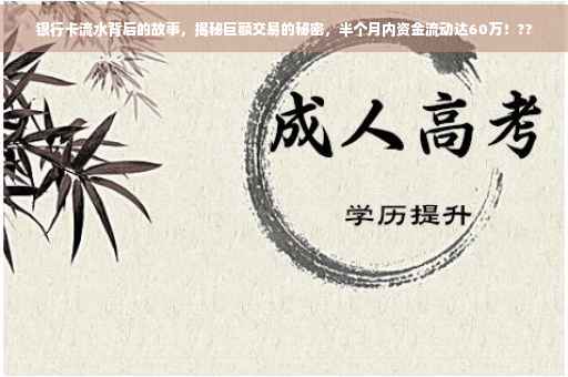 银行卡流水背后的故事，揭秘巨额交易的秘密，半个月内资金流动达60万！??