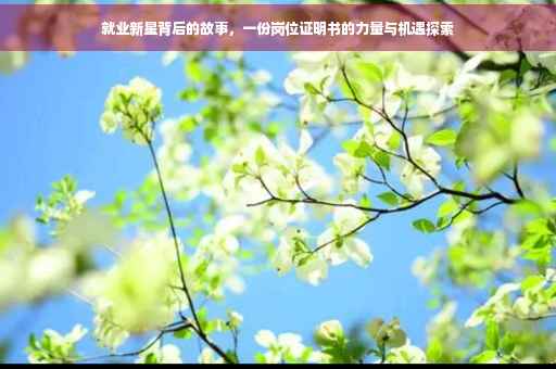就业新星背后的故事，一份岗位证明书的力量与机遇探索