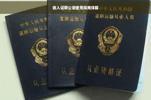 收入证明公章使用指南详解