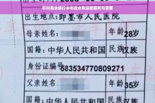 农村商业银行半年流水账深度解析与洞察
