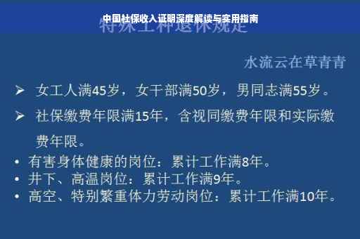 中国社保收入证明深度解读与实用指南