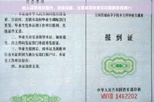 收入证明寄往国外，流程详解、注意事项及常见问题解答指南?✨