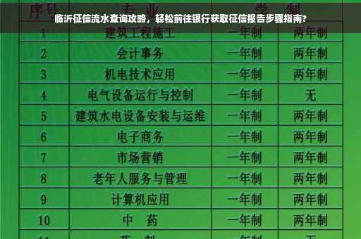 临沂征信流水查询攻略，轻松前往银行获取征信报告步骤指南?