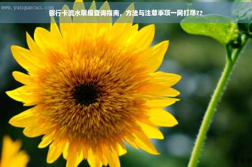 银行卡流水明细查询指南，方法与注意事项一网打尽??