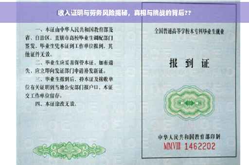 收入证明与劳务风险揭秘，真相与挑战的背后??