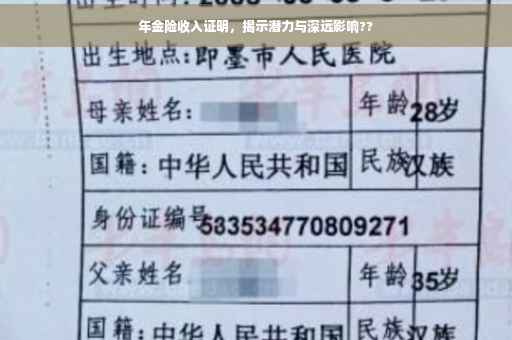 年金险收入证明，揭示潜力与深远影响??