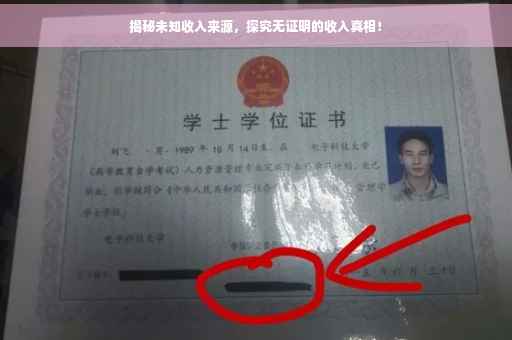 揭秘未知收入来源，探究无证明的收入真相！