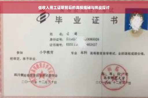 低收入用工证明背后的真相揭秘与挑战探讨