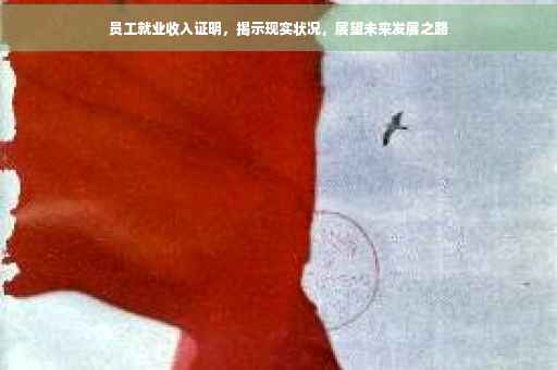 员工就业收入证明，揭示现实状况，展望未来发展之路