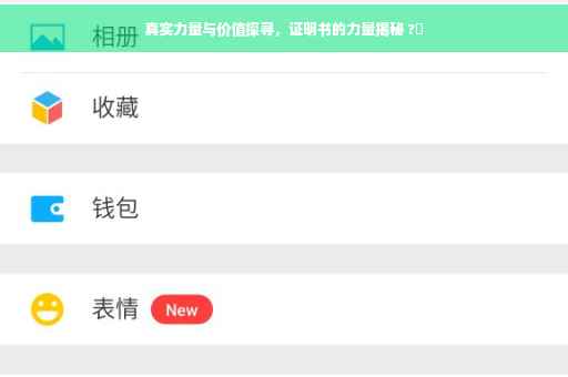 真实力量与价值探寻，证明书的力量揭秘 ?✨