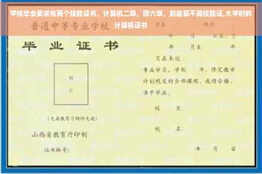 学校毕业要求有两个技能证书，计算机二级，四六级，到底算不算技能证,大学时的计算机证书