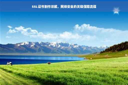 SSL证书制作详解，网络安全的关键保障流程