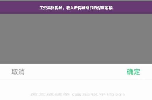 工资真相揭秘，收入所得证明书的深度解读