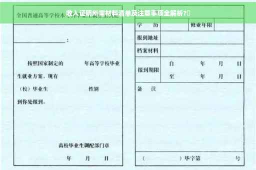 收入证明所需材料清单及注意事项全解析?✨