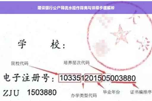 建设银行公户导流水操作指南与详细步骤解析