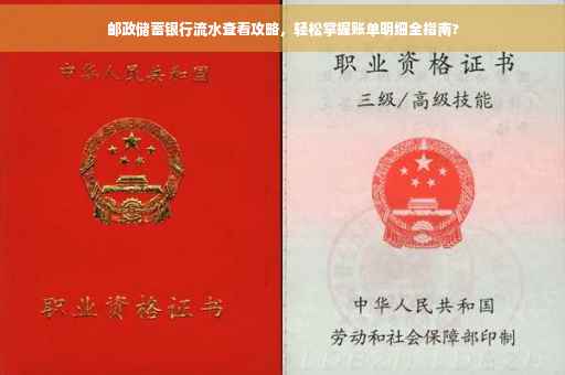 邮政储蓄银行流水查看攻略，轻松掌握账单明细全指南?